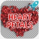 Heart Shape Petals - VideoHive Item for Sale