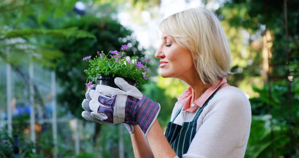 Mature woman smelling pot plant