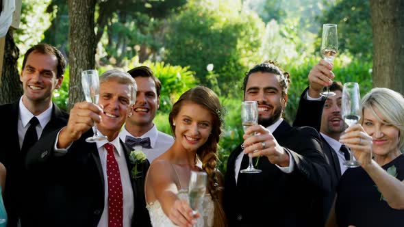 Guests, bride and groom toasting champagne flutes 4K 4k