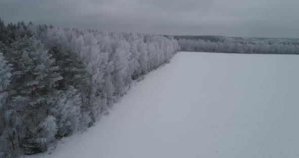 Winter Landscape Forest Field