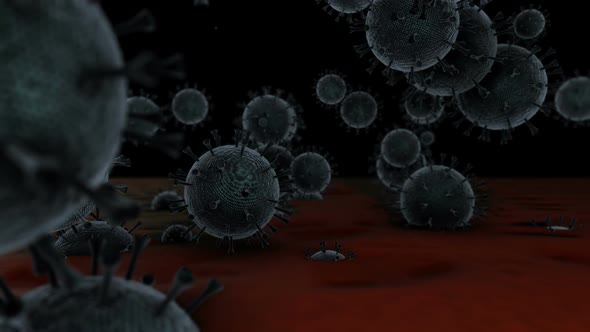 Coronavirus 