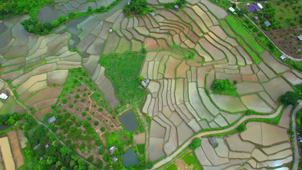 Drone flying over rice terraces field in countryside