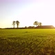 Aerial Cinematic Clip Drone Flying Over a Farm Field During Sunset - VideoHive Item for Sale