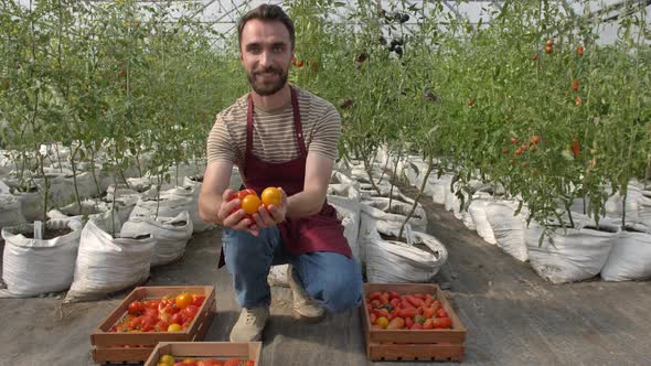 Proud Hothouse Owner with Fresh Tomatoes in Hands