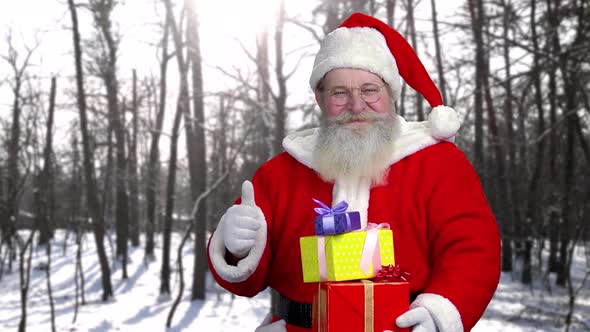 Santa Holding Gifts Outdoor