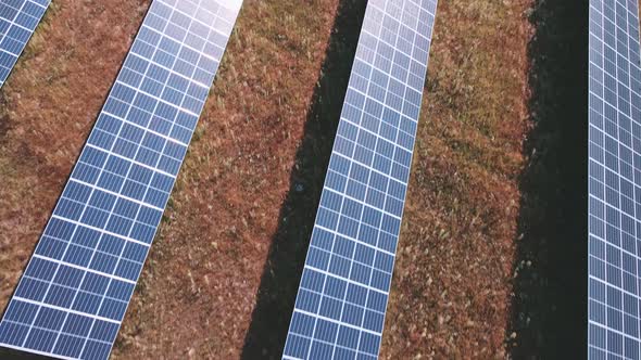 Solar Panels Farm in the Field