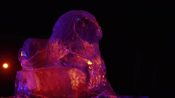 Red and Purple Lighting Around an Ice Sculpture of a Lion in the Studio