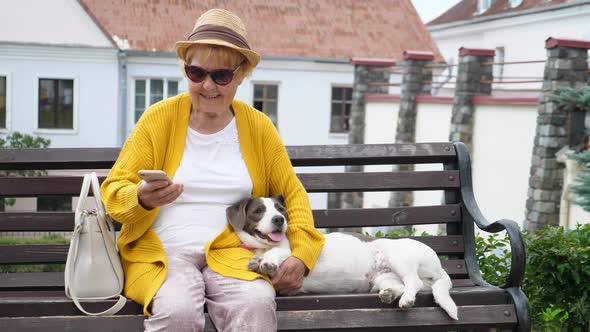 Elderly Woman Using Cellphone Resting Outdoors With Dog.