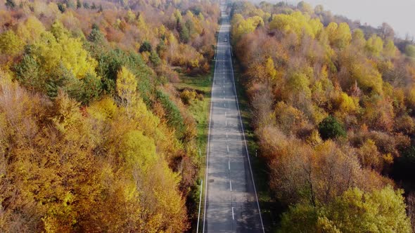 Autumn colors and mountain road aerial view