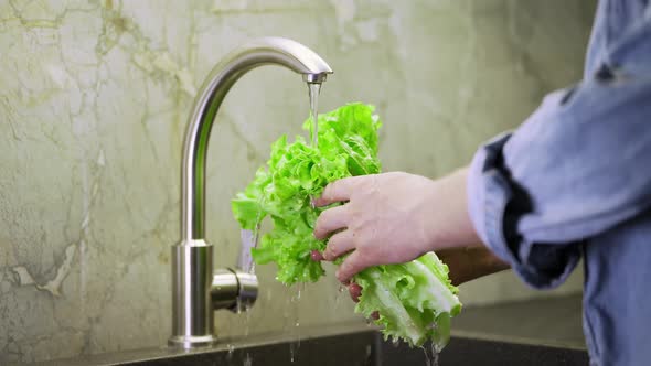 man washes lettuce leaves. cooking process by the chef. salad ingredients. caring man