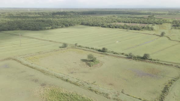 Aerial drone view flight over different agricultural fields sown in Samegrelo, Georgia