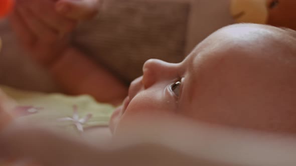 Newborn Baby Human Child Lies on His Back in a Stroller at Home