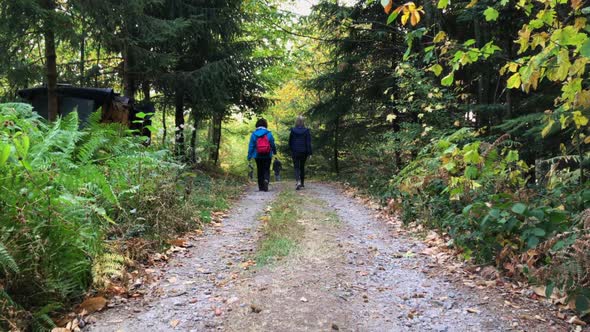 Two shot of mother and daughter walking on a footpath in a forest, Lautenbach, Black Forest Germany