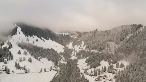 Beautiful aerial of snow covered mountain with forest