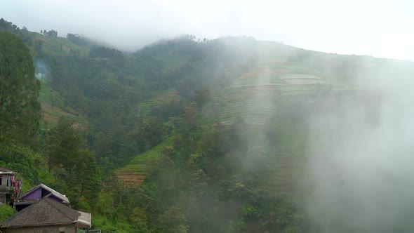 Green hills of Butuh village shrouded from thick fog, Magelang in Indonesia. Static view