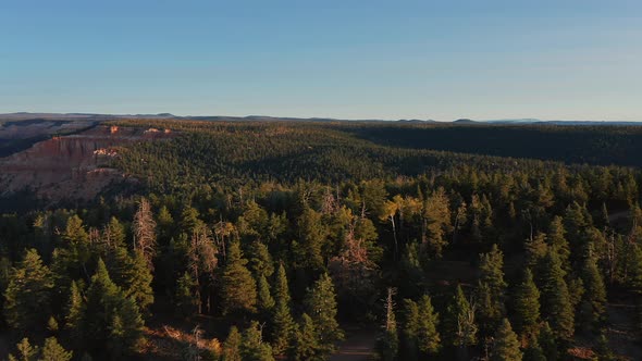 cinematic aerial view over Utah countryscape. Fir forest and canyon lit by sunlight at dawn