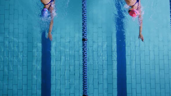 Swimmers training in a swimming pool