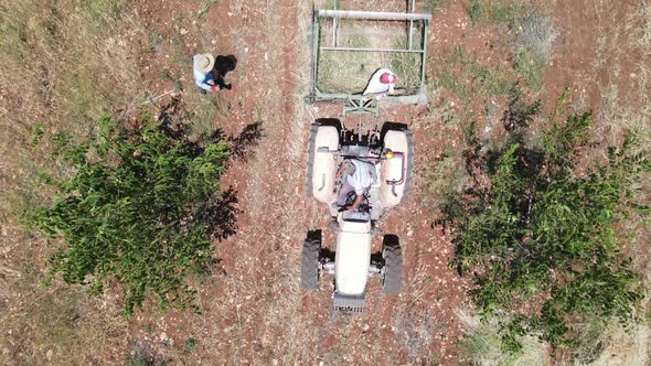 Harvesting With Tractor