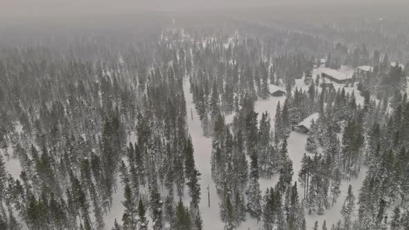 Aerial Top View Winter Panoramic Landscape with Snowy Forest in Heavy Snowfall