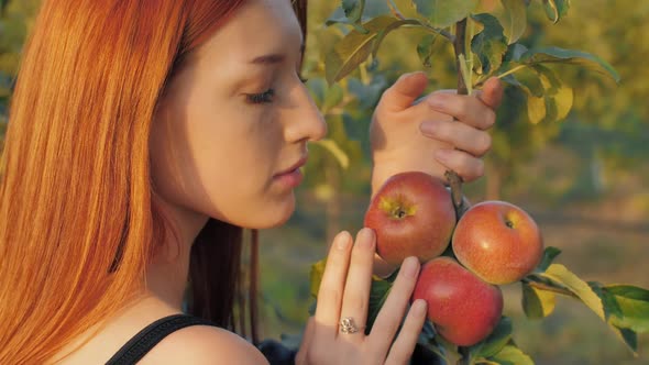 Young Woman in Apple Orchard