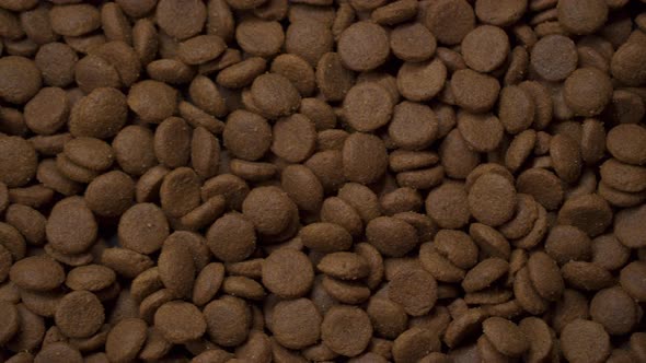 Healthy Dry Food for Dog or Cat Camera Dolly