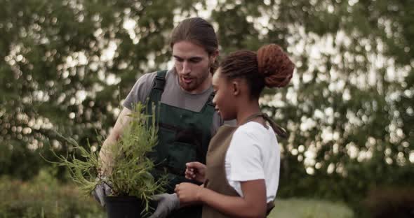 Diverse Farmers Checking Plant Quality