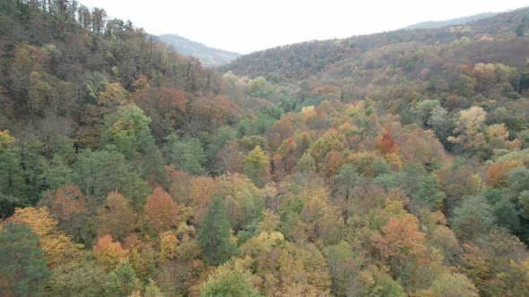 Colorful Autumn View of the Caucasus Mountains