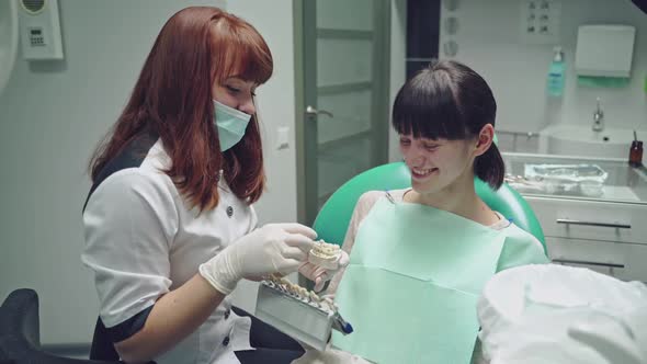 Friendly dentist showing jaw layout to a patient girl sitting in the stomatology clinic.