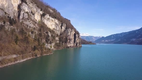 Drone flies straight to a cliff, looking like a fjord. Some birds are flying through the video.