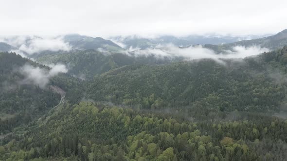 Ukraine, Carpathian Mountains: Beautiful Mountain Forest Landscape. Aerial, Flat, Gray