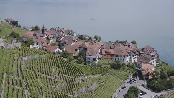 Aerial shot of typical village in Lavaux vineyard, SwitzerlandVillage name: RivazShot on Inspire2