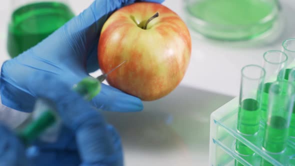 Scientist Working on Organic Fruits and Vegetables