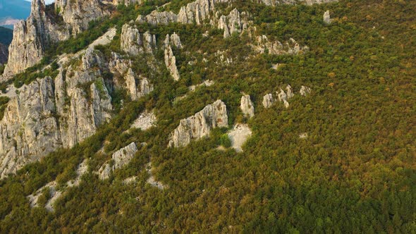 Aerial pan up rocky mountain top, autumn yellow and green forest trees