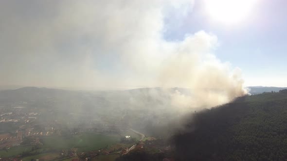 Forest Fire in the Mountains