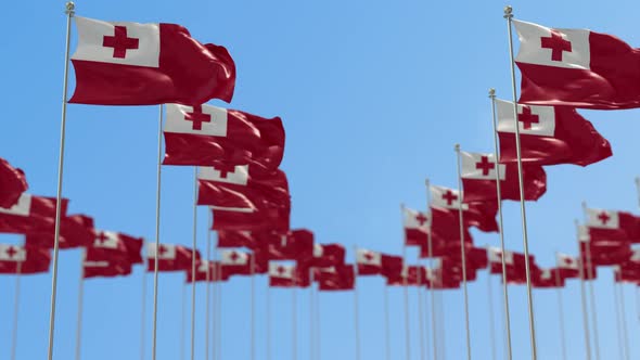 Tonga Row Of National flags Walk Throw Animation