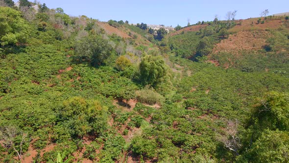 Aerial Shot of Coffee Plantations on Hillsides in Mountains