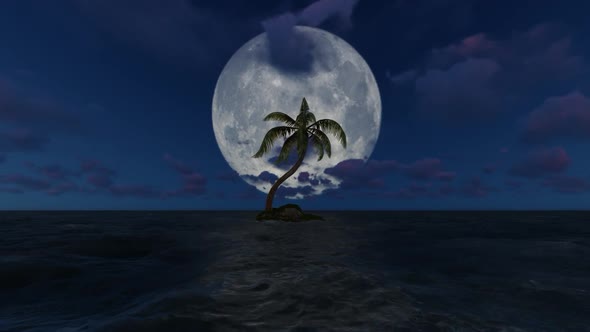 Trees grow in the middle of the sea at night on the full moon