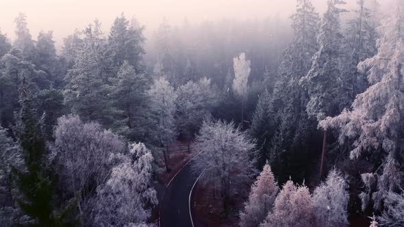 Drone shot of a curvy road through a frosty, misty and foggy forest in winter, snowing