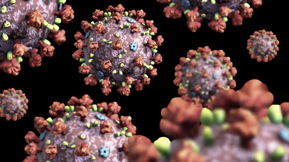 Animated Seamless Loop of Several Coronavirus Virons with Transparent Background alt