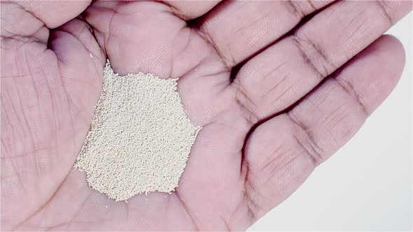 Yeast Pellets Grains In Hand