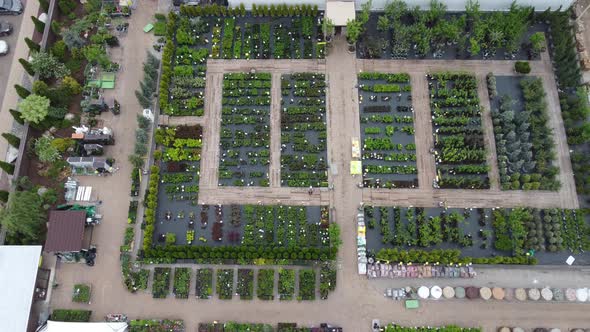 aerial view of garden shop. working people. potted plants