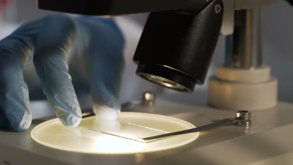 Lab Worker Taking Better Look at Illuminated Sample Slide Under Microscope