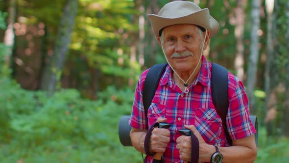 Senior Old Caucasian Tourist Hiker Grandfather Training Nordic Walking with Trekking Poles in Forest