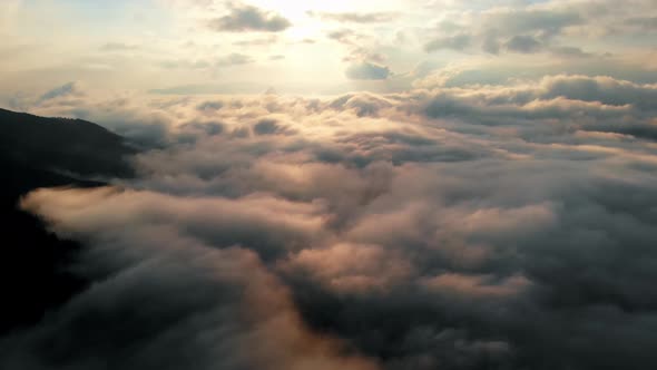 Aerial view: Amazing Thick Morning Fog Covering Mountains Spice and Spruce Forest.