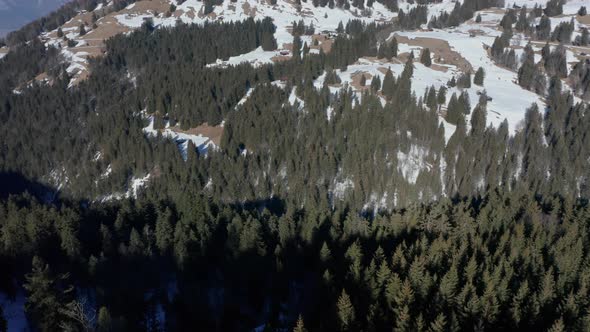 Aerial of pine tree forest in a snow covered valley