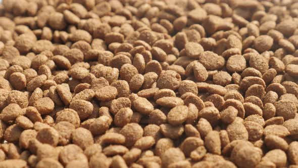 Slow tilt on healthy pet pellets on  pile 4K 2160p 30fps UltraHD footage - Cat or dog  dry food clos