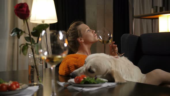 Pretty Woman with Labrador Dog Relaxing at Evening