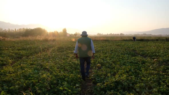 Farmer Walking In Field