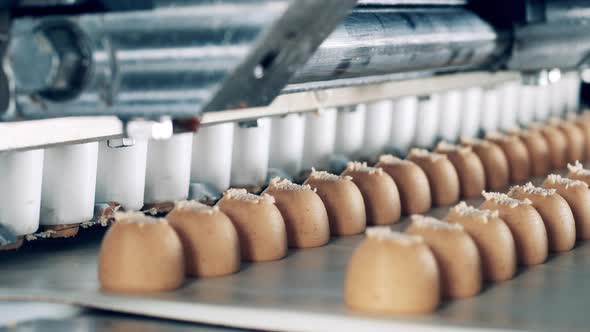 Pieces of Sweet Paste Are Getting Poured Onto Conveyor