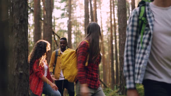 Multiracial Group of Tourists Adventurous People Are Walking in Forest with Backpacks Talking